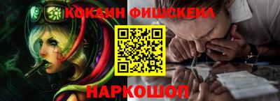 мдпв Камышлов
