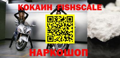 мдпв Камышлов
