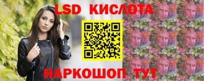 мдпв Камышлов