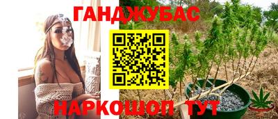 мдпв Камышлов