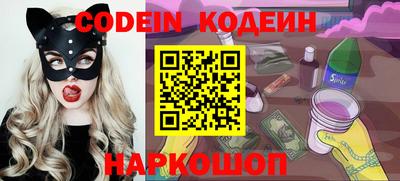 мдпв Камышлов