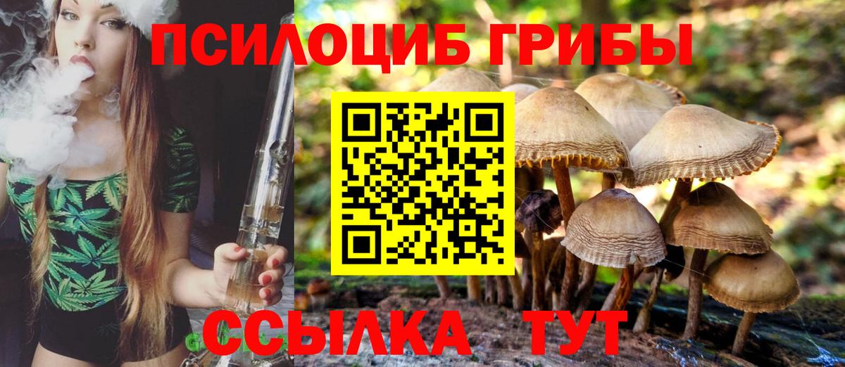 Галлюциногенные грибы GOLDEN TEACHER Курчалой