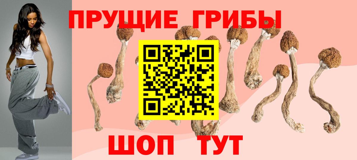 Галлюциногенные грибы мицелий  Вход с VPN  Курчалой  Галлюциногенные грибы ЛСД 